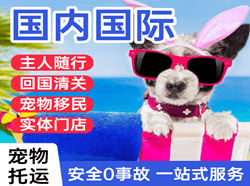 宁远航空运输国际宠物托运 【国